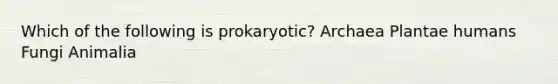 Which of the following is prokaryotic? Archaea Plantae humans Fungi Animalia