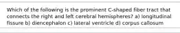 Which of the following is the prominent C-shaped fiber tract that connects the right and left cerebral hemispheres? a) longitudinal fissure b) diencephalon c) lateral ventricle d) corpus callosum