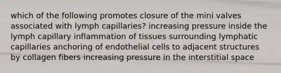 which of the following promotes closure of the mini valves associated with lymph capillaries? increasing pressure inside the lymph capillary inflammation of tissues surrounding lymphatic capillaries anchoring of endothelial cells to adjacent structures by collagen fibers increasing pressure in the interstitial space