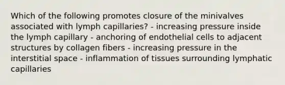 Which of the following promotes closure of the minivalves associated with lymph capillaries? - increasing pressure inside the lymph capillary - anchoring of endothelial cells to adjacent structures by collagen fibers - increasing pressure in the interstitial space - inflammation of tissues surrounding lymphatic capillaries