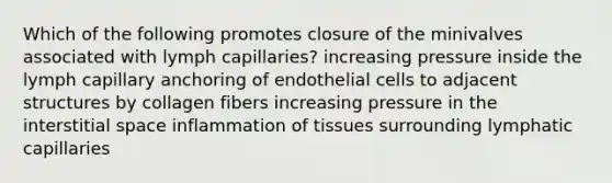 Which of the following promotes closure of the minivalves associated with lymph capillaries? increasing pressure inside the lymph capillary anchoring of endothelial cells to adjacent structures by collagen fibers increasing pressure in the interstitial space inflammation of tissues surrounding lymphatic capillaries