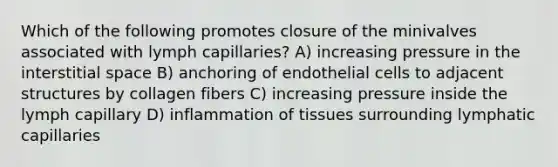 Which of the following promotes closure of the minivalves associated with lymph capillaries? A) increasing pressure in the interstitial space B) anchoring of endothelial cells to adjacent structures by collagen fibers C) increasing pressure inside the lymph capillary D) inflammation of tissues surrounding lymphatic capillaries