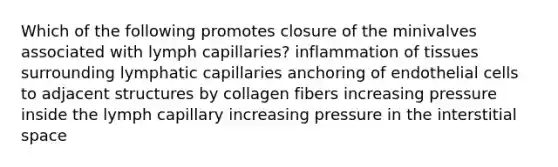 Which of the following promotes closure of the minivalves associated with lymph capillaries? inflammation of tissues surrounding lymphatic capillaries anchoring of endothelial cells to adjacent structures by collagen fibers increasing pressure inside the lymph capillary increasing pressure in the interstitial space