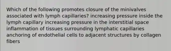 Which of the following promotes closure of the minivalves associated with lymph capillaries? increasing pressure inside the lymph capillary increasing pressure in the interstitial space inflammation of tissues surrounding lymphatic capillaries anchoring of endothelial cells to adjacent structures by collagen fibers