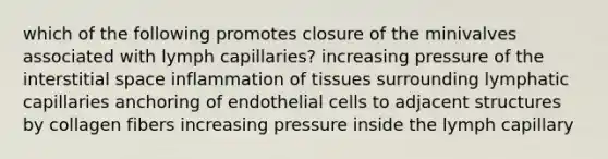 which of the following promotes closure of the minivalves associated with lymph capillaries? increasing pressure of the interstitial space inflammation of tissues surrounding lymphatic capillaries anchoring of endothelial cells to adjacent structures by collagen fibers increasing pressure inside the lymph capillary