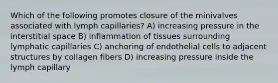 Which of the following promotes closure of the minivalves associated with lymph capillaries? A) increasing pressure in the interstitial space B) inflammation of tissues surrounding lymphatic capillaries C) anchoring of endothelial cells to adjacent structures by collagen fibers D) increasing pressure inside the lymph capillary