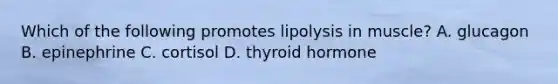 Which of the following promotes lipolysis in muscle? A. glucagon B. epinephrine C. cortisol D. thyroid hormone