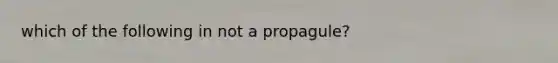 which of the following in not a propagule?