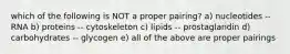 which of the following is NOT a proper pairing? a) nucleotides -- RNA b) proteins -- cytoskeleton c) lipids -- prostaglandin d) carbohydrates -- glycogen e) all of the above are proper pairings