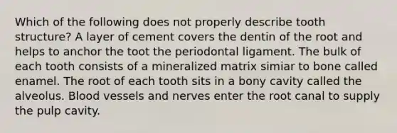 Which of the following does not properly describe tooth structure? A layer of cement covers the dentin of the root and helps to anchor the toot the periodontal ligament. The bulk of each tooth consists of a mineralized matrix simiar to bone called enamel. The root of each tooth sits in a bony cavity called the alveolus. <a href='https://www.questionai.com/knowledge/kZJ3mNKN7P-blood-vessels' class='anchor-knowledge'>blood vessels</a> and nerves enter the root canal to supply the pulp cavity.