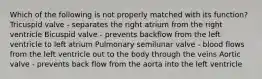 Which of the following is not properly matched with its function? Tricuspid valve - separates the right atrium from the right ventricle Bicuspid valve - prevents backflow from the left ventricle to left atrium Pulmonary semilunar valve - blood flows from the left ventricle out to the body through the veins Aortic valve - prevents back flow from the aorta into the left ventricle