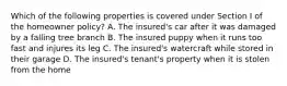 Which of the following properties is covered under Section I of the homeowner policy? A. The insured's car after it was damaged by a falling tree branch B. The insured puppy when it runs too fast and injures its leg C. The insured's watercraft while stored in their garage D. The insured's tenant's property when it is stolen from the home