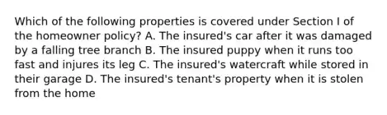 Which of the following properties is covered under Section I of the homeowner policy? A. The insured's car after it was damaged by a falling tree branch B. The insured puppy when it runs too fast and injures its leg C. The insured's watercraft while stored in their garage D. The insured's tenant's property when it is stolen from the home