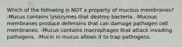 Which of the following is NOT a property of mucous membranes? -Mucus contains lysozymes that destroy bacteria. -Mucous membranes produce defensins that can damage pathogen cell membranes. -Mucus contains macrophages that attack invading pathogens. -Mucin in mucus allows it to trap pathogens.