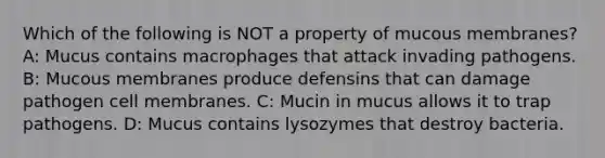 Which of the following is NOT a property of mucous membranes? A: Mucus contains macrophages that attack invading pathogens. B: Mucous membranes produce defensins that can damage pathogen cell membranes. C: Mucin in mucus allows it to trap pathogens. D: Mucus contains lysozymes that destroy bacteria.