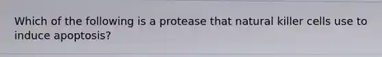 Which of the following is a protease that natural killer cells use to induce apoptosis?