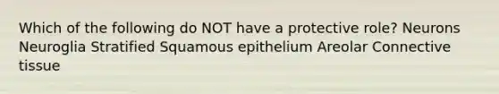 Which of the following do NOT have a protective role? Neurons Neuroglia Stratified Squamous epithelium Areolar Connective tissue