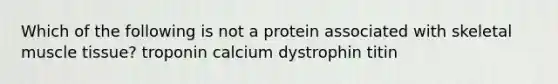 Which of the following is not a protein associated with skeletal muscle tissue? troponin calcium dystrophin titin