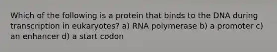 Which of the following is a protein that binds to the DNA during transcription in eukaryotes? a) RNA polymerase b) a promoter c) an enhancer d) a start codon