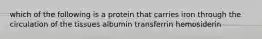 which of the following is a protein that carries iron through the circulation of the tissues albumin transferrin hemosiderin