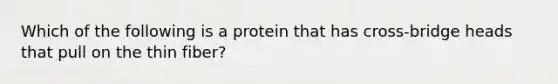 Which of the following is a protein that has cross-bridge heads that pull on the thin fiber?