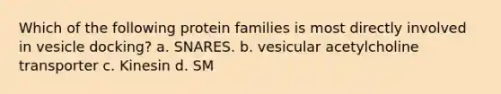 Which of the following protein families is most directly involved in vesicle docking? a. SNARES. b. vesicular acetylcholine transporter c. Kinesin d. SM