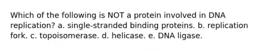 Which of the following is NOT a protein involved in DNA replication? a. single-stranded binding proteins. b. replication fork. c. topoisomerase. d. helicase. e. DNA ligase.