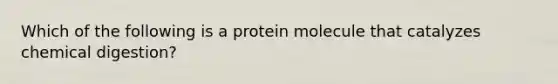 Which of the following is a protein molecule that catalyzes chemical digestion?