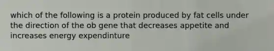 which of the following is a protein produced by fat cells under the direction of the ob gene that decreases appetite and increases energy expendinture