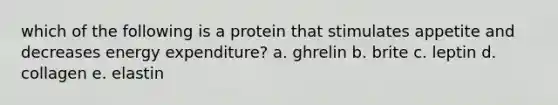 which of the following is a protein that stimulates appetite and decreases energy expenditure? a. ghrelin b. brite c. leptin d. collagen e. elastin