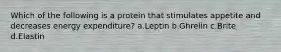 Which of the following is a protein that stimulates appetite and decreases energy expenditure? a.Leptin b.Ghrelin c.Brite d.Elastin