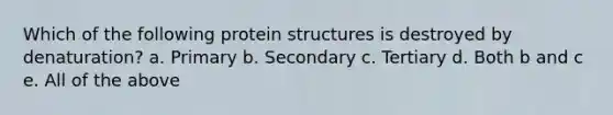 Which of the following protein structures is destroyed by denaturation? a. Primary b. Secondary c. Tertiary d. Both b and c e. All of the above