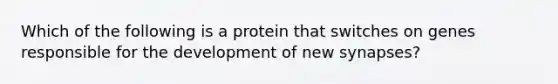 Which of the following is a protein that switches on genes responsible for the development of new synapses?