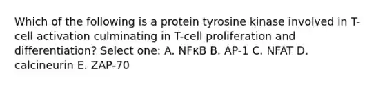 Which of the following is a protein tyrosine kinase involved in T-cell activation culminating in T-cell proliferation and differentiation? Select one: A. NFκB B. AP-1 C. NFAT D. calcineurin E. ZAP-70