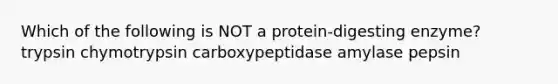 Which of the following is NOT a protein-digesting enzyme? trypsin chymotrypsin carboxypeptidase amylase pepsin