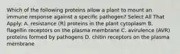 Which of the following proteins allow a plant to mount an immune response against a specific pathogen? Select All That Apply: A. resistance (R) proteins in the plant cytoplasm B. flagellin receptors on the plasma membrane C. avirulence (AVR) proteins formed by pathogens D. chitin receptors on the plasma membrane