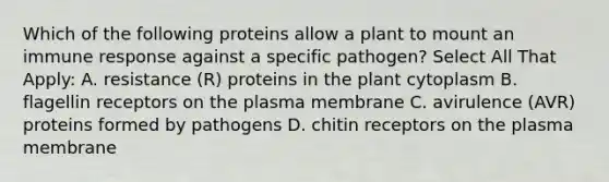 Which of the following proteins allow a plant to mount an immune response against a specific pathogen? Select All That Apply: A. resistance (R) proteins in the plant cytoplasm B. flagellin receptors on the plasma membrane C. avirulence (AVR) proteins formed by pathogens D. chitin receptors on the plasma membrane