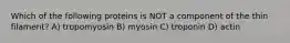 Which of the following proteins is NOT a component of the thin filament? A) tropomyosin B) myosin C) troponin D) actin