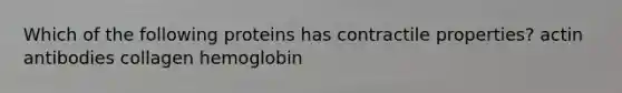 Which of the following proteins has contractile properties? actin antibodies collagen hemoglobin