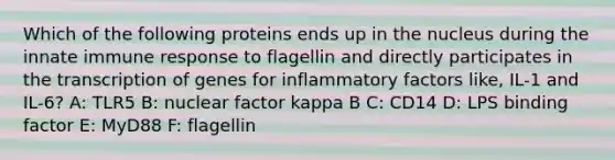 Which of the following proteins ends up in the nucleus during the innate immune response to flagellin and directly participates in the transcription of genes for inflammatory factors like, IL-1 and IL-6? A: TLR5 B: nuclear factor kappa B C: CD14 D: LPS binding factor E: MyD88 F: flagellin