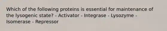 Which of the following proteins is essential for maintenance of the lysogenic state? - Activator - Integrase - Lysozyme - Isomerase - Repressor