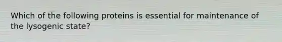 Which of the following proteins is essential for maintenance of the lysogenic state?