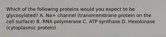 Which of the following proteins would you expect to be glycosylated? A. Na+ channel (transmembrane protein on the cell surface) B. RNA polymerase C. ATP synthase D. Hexokinase (cytoplasmic protein)