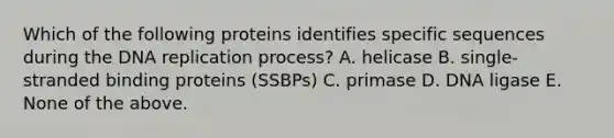 Which of the following proteins identifies specific sequences during the DNA replication process? A. helicase B. single-stranded binding proteins (SSBPs) C. primase D. DNA ligase E. None of the above.