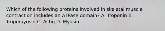 Which of the following proteins involved in skeletal muscle contraction includes an ATPase domain? A. Troponin B. Tropomyosin C. Actin D. Myosin