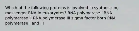 Which of the following proteins is involved in synthesizing messenger RNA in eukaryotes? RNA polymerase I RNA polymerase II RNA polymerase III sigma factor both RNA polymerase I and III