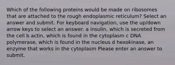 Which of the following proteins would be made on ribosomes that are attached to the rough endoplasmic reticulum? Select an answer and submit. For keyboard navigation, use the up/down arrow keys to select an answer. a insulin, which is secreted from the cell b actin, which is found in the cytoplasm c DNA polymerase, which is found in the nucleus d hexokinase, an enzyme that works in the cytoplasm Please enter an answer to submit.