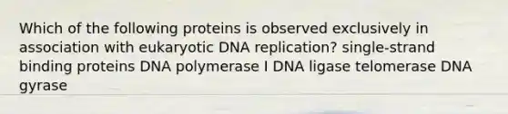 Which of the following proteins is observed exclusively in association with eukaryotic <a href='https://www.questionai.com/knowledge/kofV2VQU2J-dna-replication' class='anchor-knowledge'>dna replication</a>? single-strand binding proteins DNA polymerase I DNA ligase telomerase DNA gyrase