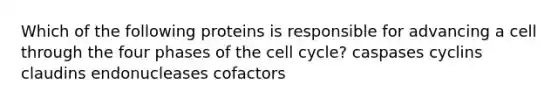 Which of the following proteins is responsible for advancing a cell through the four phases of the cell cycle? caspases cyclins claudins endonucleases cofactors