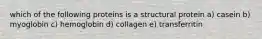 which of the following proteins is a structural protein a) casein b) myoglobin c) hemoglobin d) collagen e) transferritin